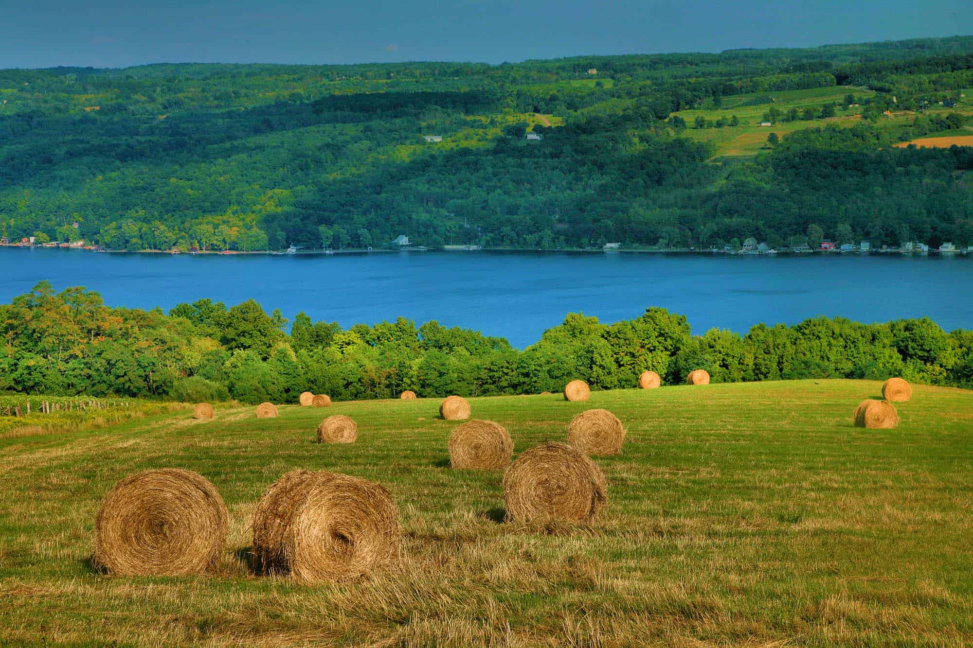 Hay bales by lake